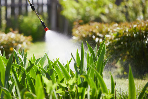Tamper-Resistant Bait Stations for Rodents in Rusk