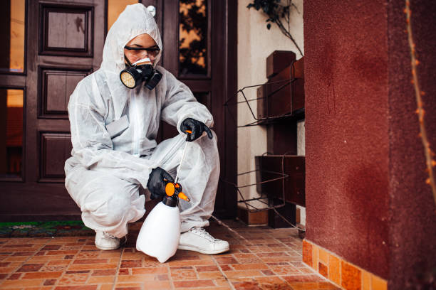Attic and Crawl Space Rodent Treatment in Rusk
